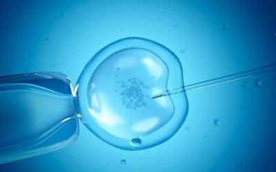 Xúc xích làm giảm khả năng thụ tinh?