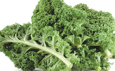 Trì hoãn mất trí nhớ ở tuổi già