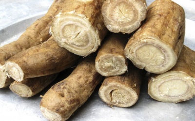 Cách trị tiêu chảy bằng sắn dây