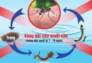 Dịch sốt xuất huyết đang có chiều hướng tiếp tục tăng nhanh