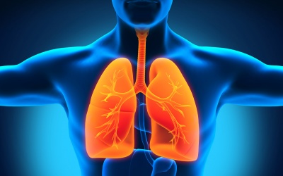 10 chiêu thanh lọc phổi cực đơn giản trong 2 ngày