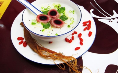 Bệnh ung thư có nên dùng nhung hươu không?