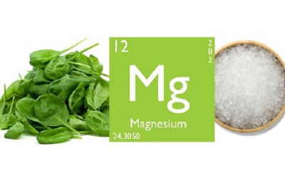 Dễ gặp họa vì thiếu Magne