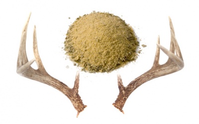 Nhung hươu: Đâu phải ai ăn cũng bổ!