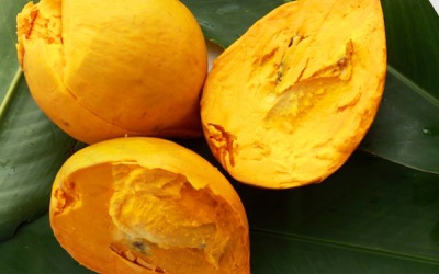 Những lợi ích sức khỏe bất ngờ từ quả trứng gà