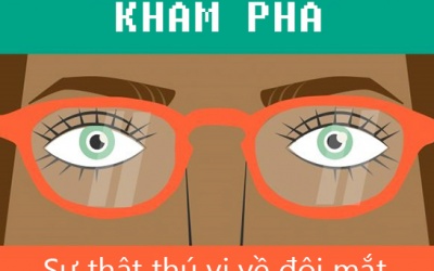 Mắt chữ O, mồm chữ A vì những sự thật từ con ngươi