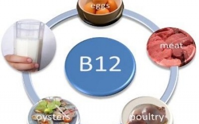 11 thực phẩm bổ sung vitamin B12 phòng tránh mệt mỏi và trầm cảm