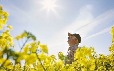 Phơi nắng để phòng bệnh đa xơ cứng!