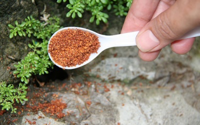 Cách chế 'thuốc' diệt kiến bằng nguyên liệu dễ kiếm