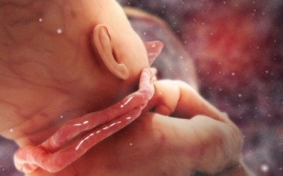 Tràng hoa quấn cổ: Những điều mẹ bầu cần biết!