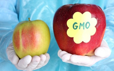 Những điều bạn chưa biết về thực phẩm biến đổi gene