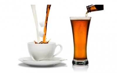 Não bộ thế nào khi 'say' bia và cà phê?