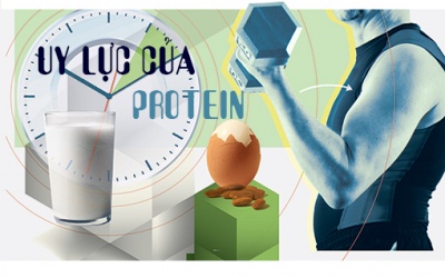 8 uy lực của protein đối với cơ thể sống