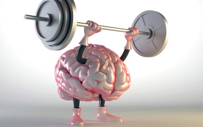 Video: Làm sao để trí não luôn minh mẫn khi về già?