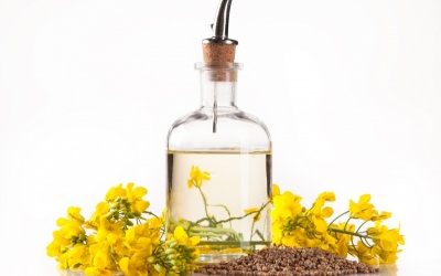 Lợi ích sức khỏe của dầu hạt cải