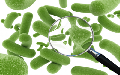 Bạn biết gì về lợi ích của probiotics?