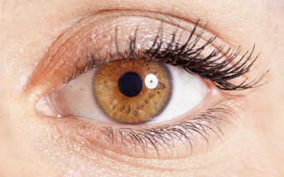 Phòng bệnh tăng nhãn áp do di truyền?