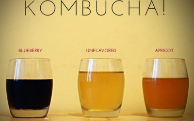 Khám phá công dụng phòng và trị bệnh của trà trường sinh Kombucha