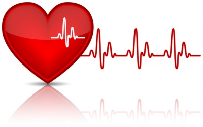 Sự khác biệt về nhịp tim giữa nam và nữ