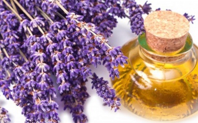 Cách sử dụng tinh dầu oải hương điều trị viêm xoang