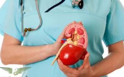 Người bị nang thận có nguy hiểm không?