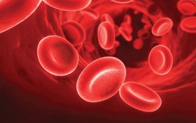 Rối loạn máu - dấu hiệu báo trước của ung thư