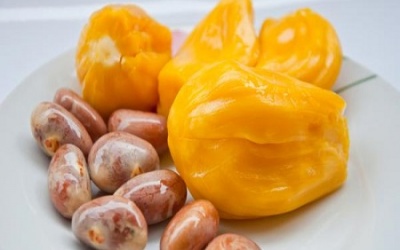 Hạt mít, nguồn dinh dưỡng tuyệt vời