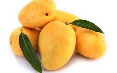 Công dụng chưa được biết đến của lá cây xoài