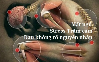 Bỗng dưng đau thắt - bệnh lý nguy hiểm của phụ nữ mãn kinh