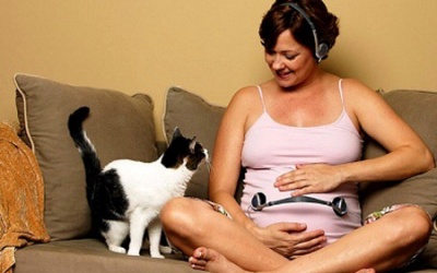 Nhiễm virus Toxo – nguyên nhân sảy thai 3 tháng đầu