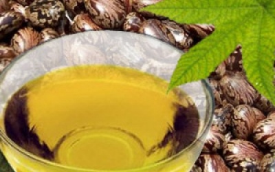 Dầu thầu dầu: Đẹp da, tóc mọc, lông mày đậm