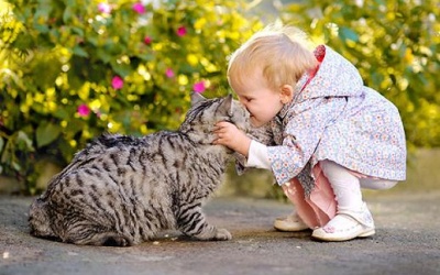 Tan chảy với loạt ảnh các nhóc tỳ bên mèo cưng