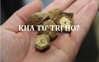 Sự thật sau lời đồn kha tử chữa được viêm họng