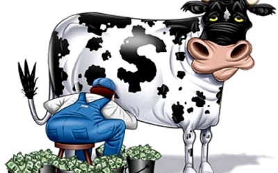 Lãi hàng nghìn tỷ đồng từ bán sữa bò