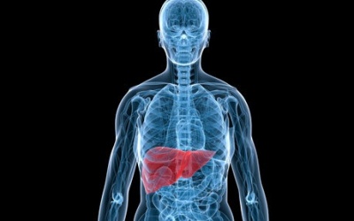 Ba công thức thải độc hiệu quả cho gan bị tổn thương