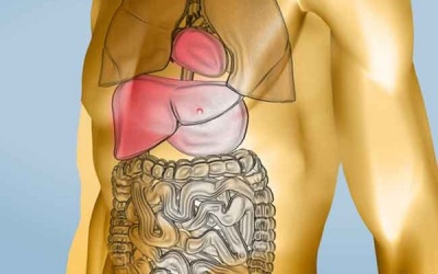 Đái tháo đường ảnh hưởng đến những bộ phận nào của cơ thể?