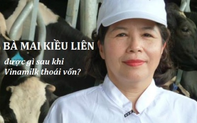 Người có công với Vinamilk nhận được gì sau thoái vốn?