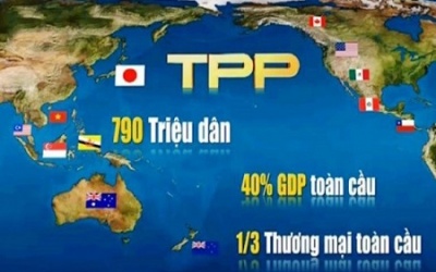 Hiệp định TPP: Cơ hội cho ngành thực phẩm chức năng (P.1)