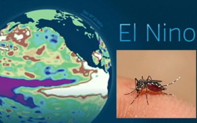 Nguy cơ lây lan dịch sốt xuất huyết vì El Nino 2015