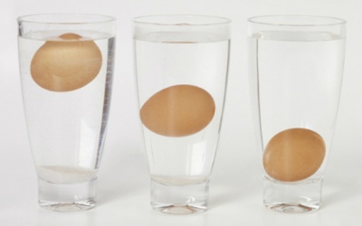 Phân biệt trứng mới trong nháy mắt