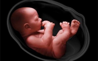 Phát hiện  thai nhi bị  bệnh hiếm gặp