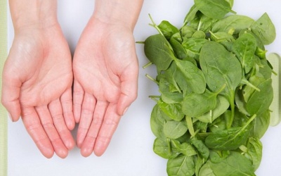 Nguyên tắc xòe bàn tay, 'đếm' thức ăn không lo thiếu chất