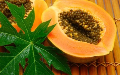 Lá đu đủ có thực sự hữu ích?