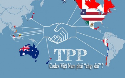 Hội nhập TPP: Ủy ban Codex phải hỗ trợ doanh nghiệp?