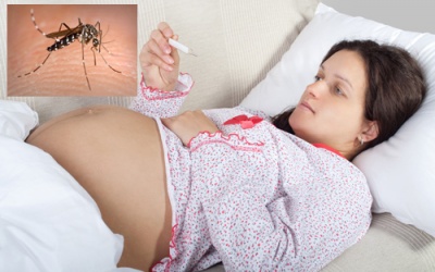 Sốt xuất huyết khi mang thai - Cẩn thận mất cả mẹ lẫn con!