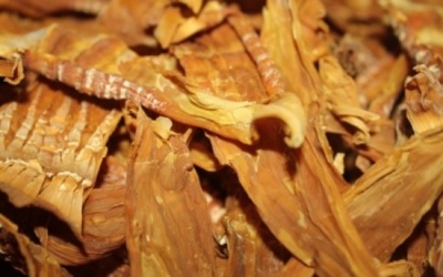 Măng khô không khử độc - Ăn rước bệnh vào người!