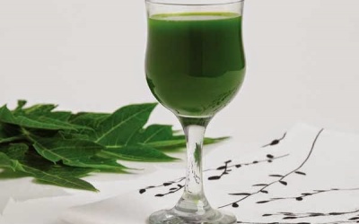 Tác dụng dược lý của lá đu đủ