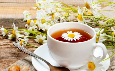 Uống trà hoa cúc: Thanh nhiệt, dịu tâm trí, yên giấc ngủ