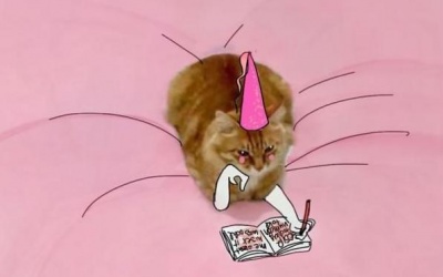 Chết cười với loạt ảnh 'vẽ thêm' cho mèo béo 