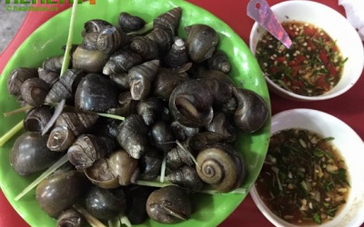 Ăn ốc luộc dễ rước giun sán vào người!